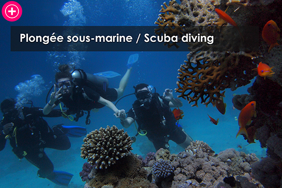 Plongee sous marine / Scuba diving
